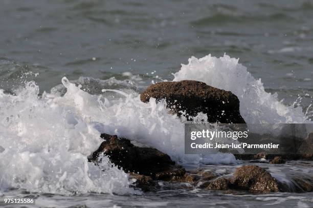 les vagues et le rocher - rocher stock pictures, royalty-free photos & images