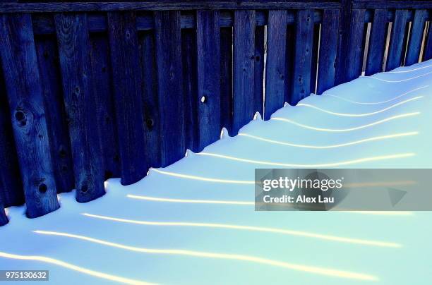 lines in the snow - alex list stock pictures, royalty-free photos & images