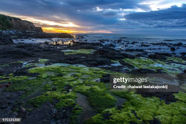 curio bay, ocean from west coast, south island, new zealand - leelakajonkij stock-fotos und bilder