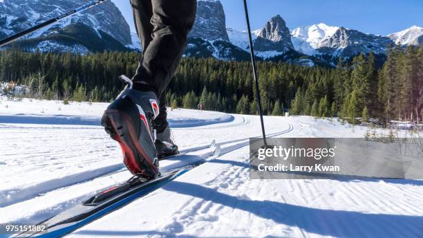 cross country skier on a sunny day - nordic skiing event fotografías e imágenes de stock