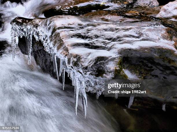 4,120 Nabari Stock Photos, HighRes Pictures, and Images Getty Images