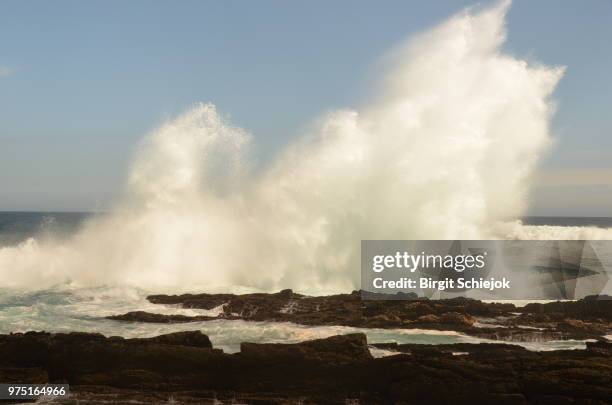 bettys bay - bettys stock pictures, royalty-free photos & images