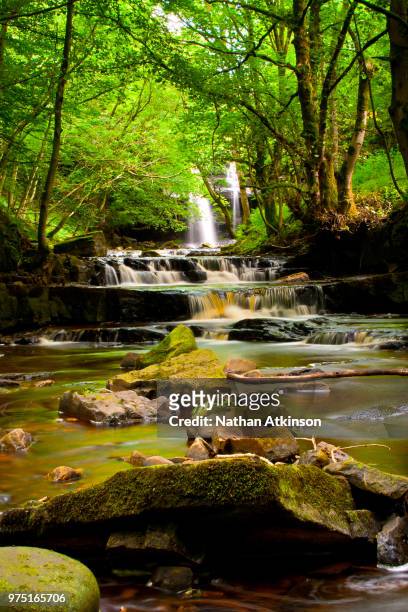 gibsons cave waterfall, bowlees, county durham, teesdale, england, uk - teesdale ストックフォトと画像