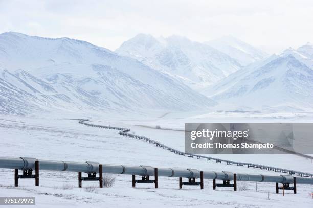 oil pipeline from prudhoe bay to valdez in the arctic winter along the dalton highway, haul road, alaska, usa - arctic oil stock-fotos und bilder