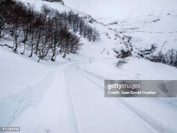 carretera nevada - carretera stock pictures, royalty-free photos & images