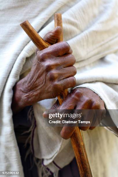 a person holding a walking stick in lake tana, ethiopia. - lake tana fotografías e imágenes de stock