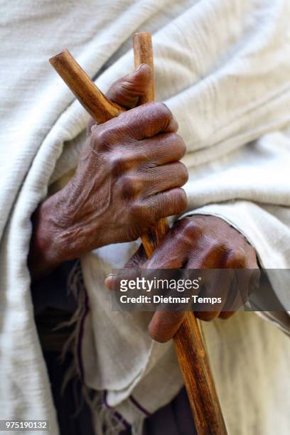 a person holding a walking stick in lake tana, ethiopia. - dietmar temps stockfoto's en -beelden