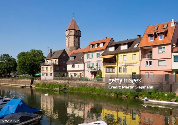 spitzer turm tower and river tauber, wertheim, tauberfranken, baden-wuerttemberg, germany - turm stock pictures, royalty-free photos & images