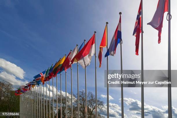 international flags in front of the building of the council of europe, strasbourg, alsace, france - europarådet bildbanksfoton och bilder