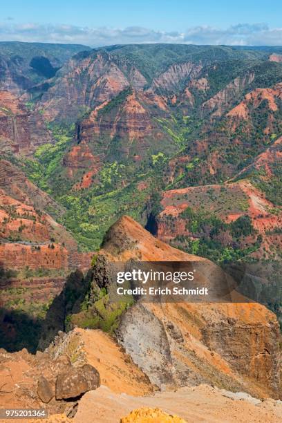 waimea canyon state park or grand canyon of the pacific, kauai, hawaii, usa - waimea valley stock pictures, royalty-free photos & images