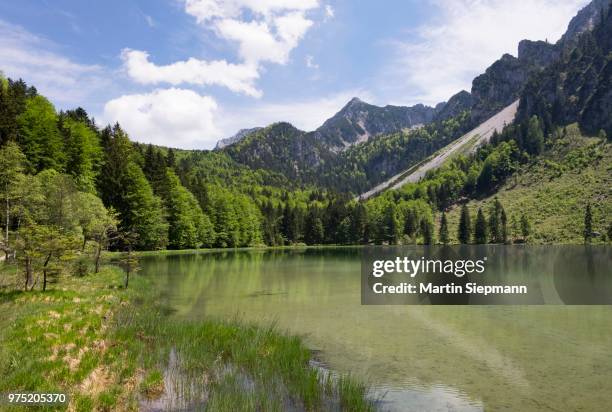 lake frillensee, inzell, staufen mountain group, chiemgau alps, chiemgau, upper bavaria, bavaria, germany - inzell stockfoto's en -beelden