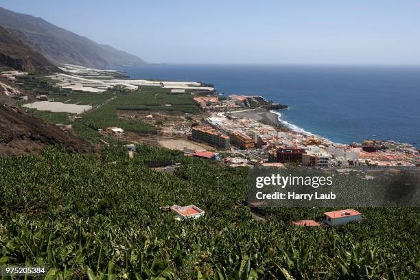 view onto banana plantations and puerto naos, la palma, canary islands, spain - puerto naos stock pictures, royalty-free photos & images