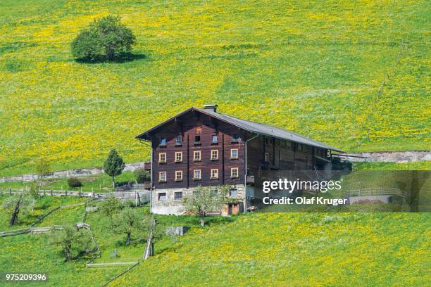 farmhouse and spring meadow, near praegraten am grossvenediger, virgental valley, east tyrol, austria - osttirol stock pictures, royalty-free photos & images