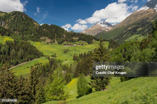 mountain landscape with farmhouses, near praegraten am grossvenediger, virgental valley, east tyrol, austria - osttirol stock pictures, royalty-free photos & images