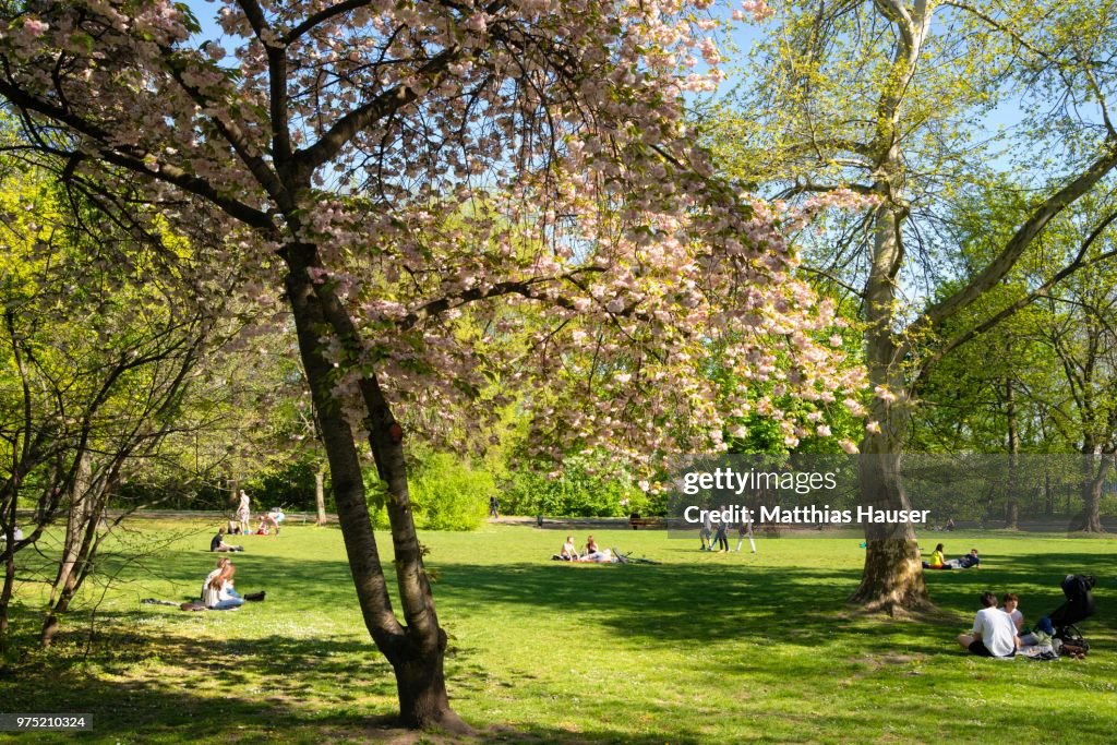 Park on Margaret Island, Budapest, Hungary