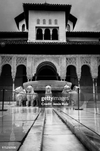 patio de los leones - leones imagens e fotografias de stock