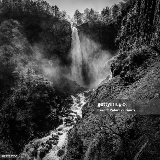 waterfall in forest - peter lourenco fotografías e imágenes de stock