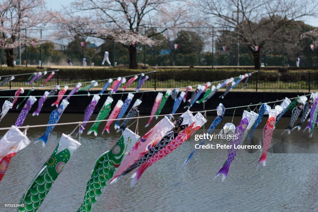 Colorful paper fish hanging on strings