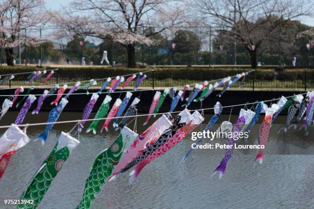 Fish On String 624 String Of Fish Stock Photos, High-Res Pictures, and Images - Getty ...
