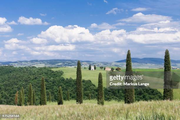 cypress trees and capella di vitaleta, val d'orcia, tuscany, province of siena, italy - capella di vitaleta fotografías e imágenes de stock