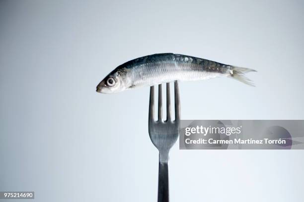 sardine on fork, studio shot - sardine photos et images de collection
