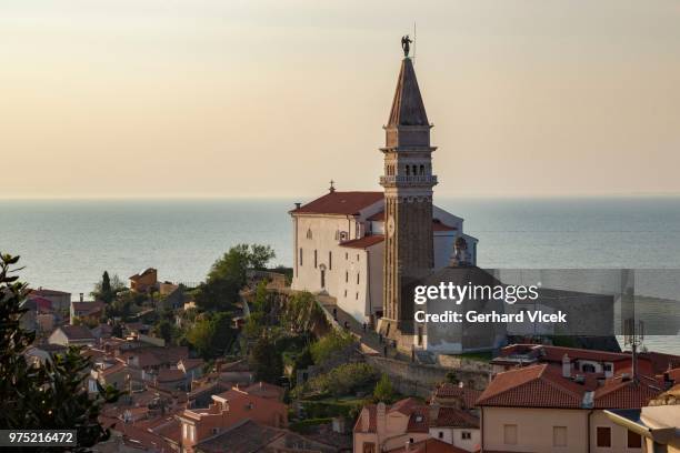 cathedral of st. george, piran, istria, slovenian littoral, slovenia - littoral stock pictures, royalty-free photos & images