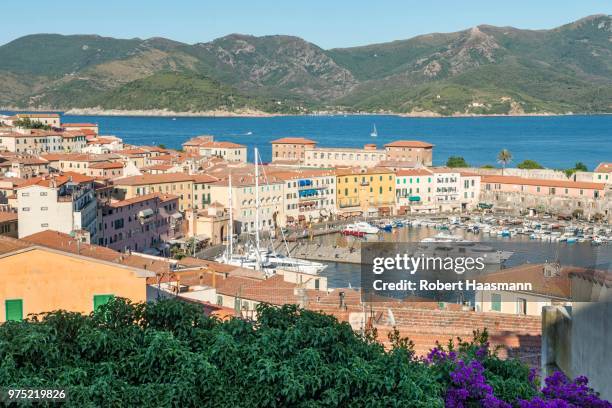 view of the port of portoferraio, elba island, livorno, tuscany, italy - portoferraio stock pictures, royalty-free photos & images