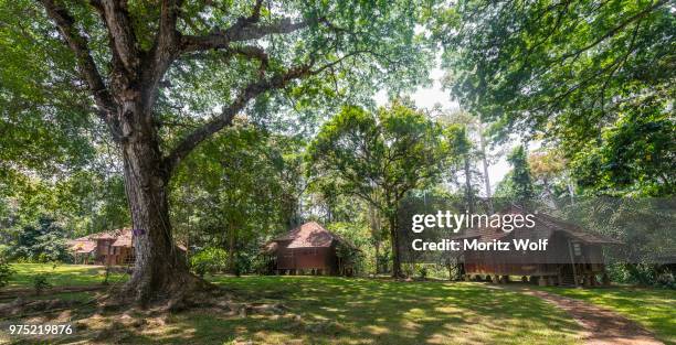 wooden huts in the jungle, kuala tahan, taman negara national park, malaysia - taman negara national park stock pictures, royalty-free photos & images