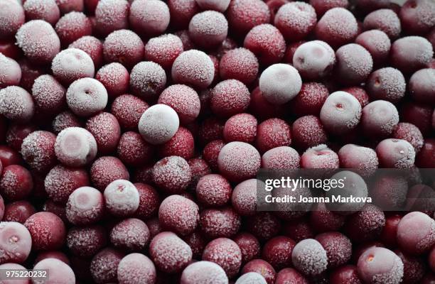 frozen cranberries - cranberries stock pictures, royalty-free photos & images