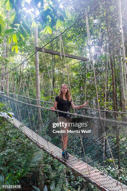 tourist, woman on suspension bridge in jungle, kuala tahan, taman negara national park, malaysia - taman negara national park stock pictures, royalty-free photos & images