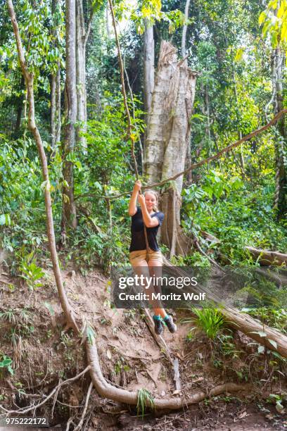 young woman swinging on a vine in the jungle, tropical rain forest, taman negara, malaysia - taman negara national park stock pictures, royalty-free photos & images