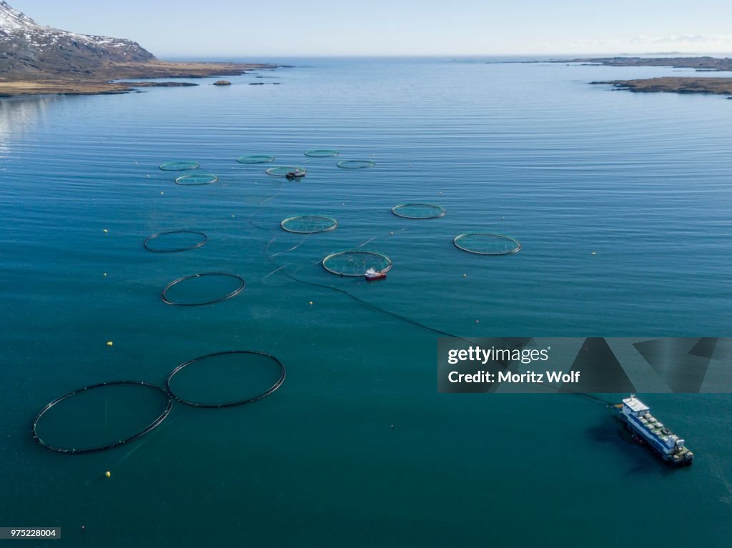 Aerial view, fish farming in large free-water nets in the sea, fjord, Iceland