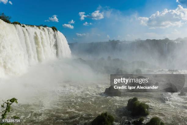 waterfalls, parque nacional do iguacu or iguazu national park, foz do iguacu, parana state, brazil - parque nacional de iguaçu imagens e fotografias de stock