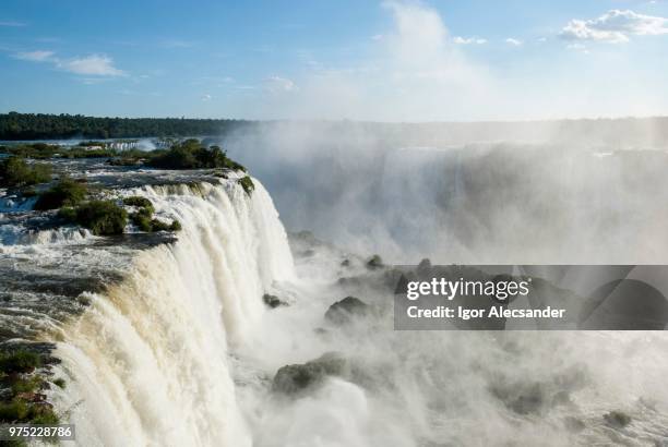 waterfalls, parque nacional do iguacu or iguazu national park, foz do iguacu, parana state, brazil - parana state bildbanksfoton och bilder