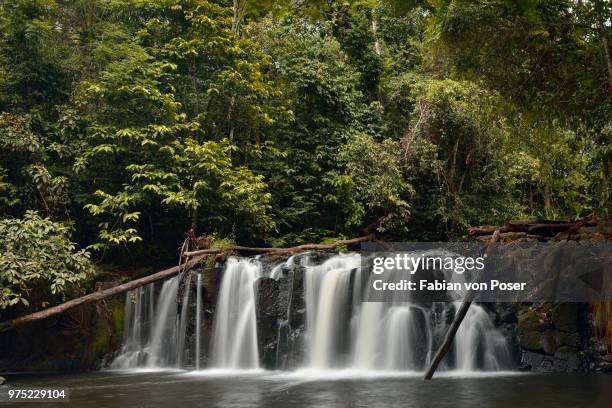 pume waterfall, river tinge, mangamba, littoral region, cameroon - littoral - fotografias e filmes do acervo