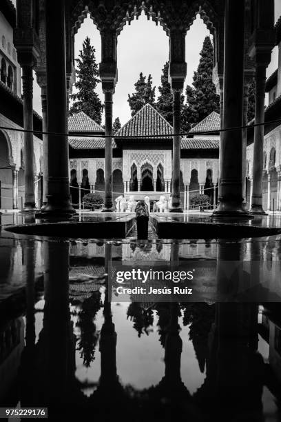 patio de los leones - leones imagens e fotografias de stock