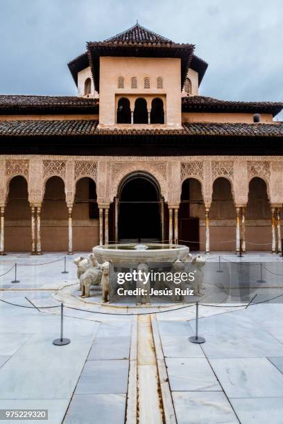 patio de los leones - leones imagens e fotografias de stock