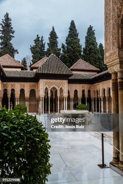 patio de los leones - leones imagens e fotografias de stock