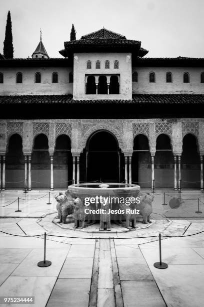 patio de los leones - leones imagens e fotografias de stock