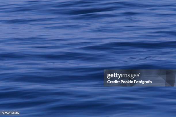 blue sea - fotógrafo stock pictures, royalty-free photos & images