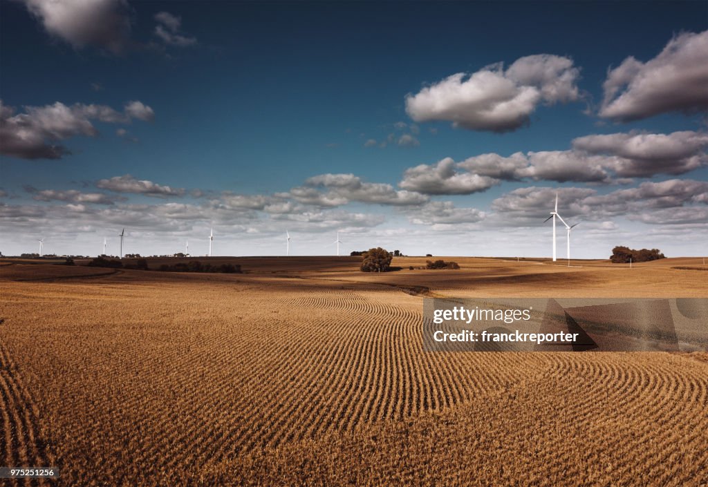 Wind turbine-Feld