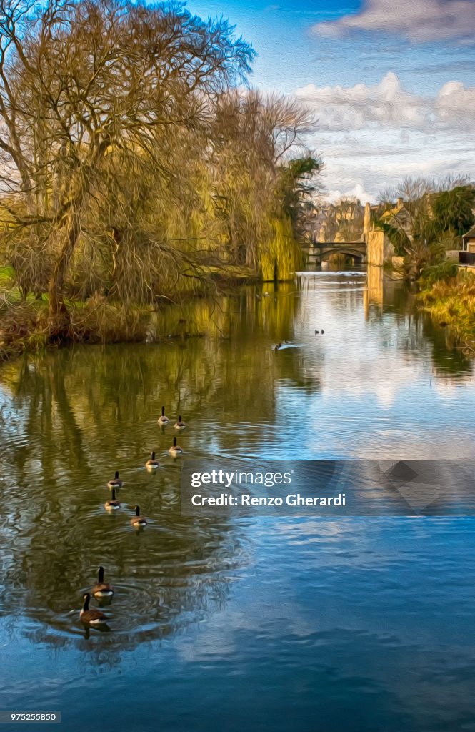 Ducks in a Row