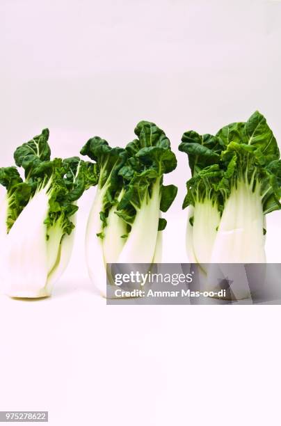 bunch of fresh baby bok choy, brassica rapa chinensis,  isolated - bok choy stockfoto's en -beelden