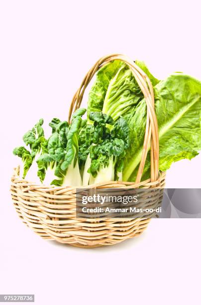 fresh  baby bok choy and cos salad in ratten basket isolated on - bok choy stockfoto's en -beelden