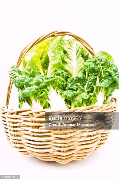 fresh  baby bok choy and cos salad in ratten basket isolated on - bok choy stockfoto's en -beelden