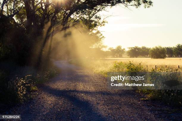 gunnedah,australia - gunnedah stock pictures, royalty-free photos & images