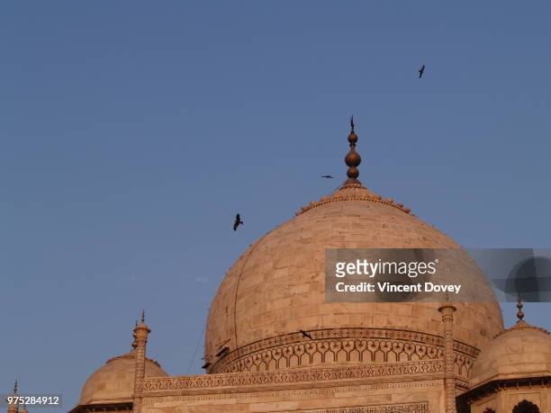 agra, india - dome stock pictures, royalty-free photos & images