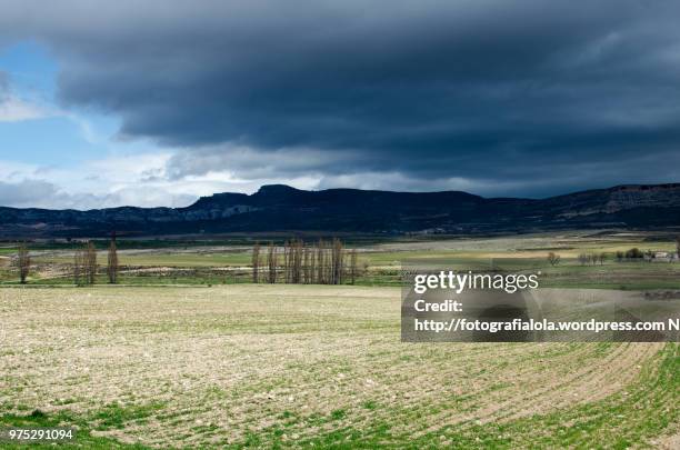 llanura - llanura stockfoto's en -beelden