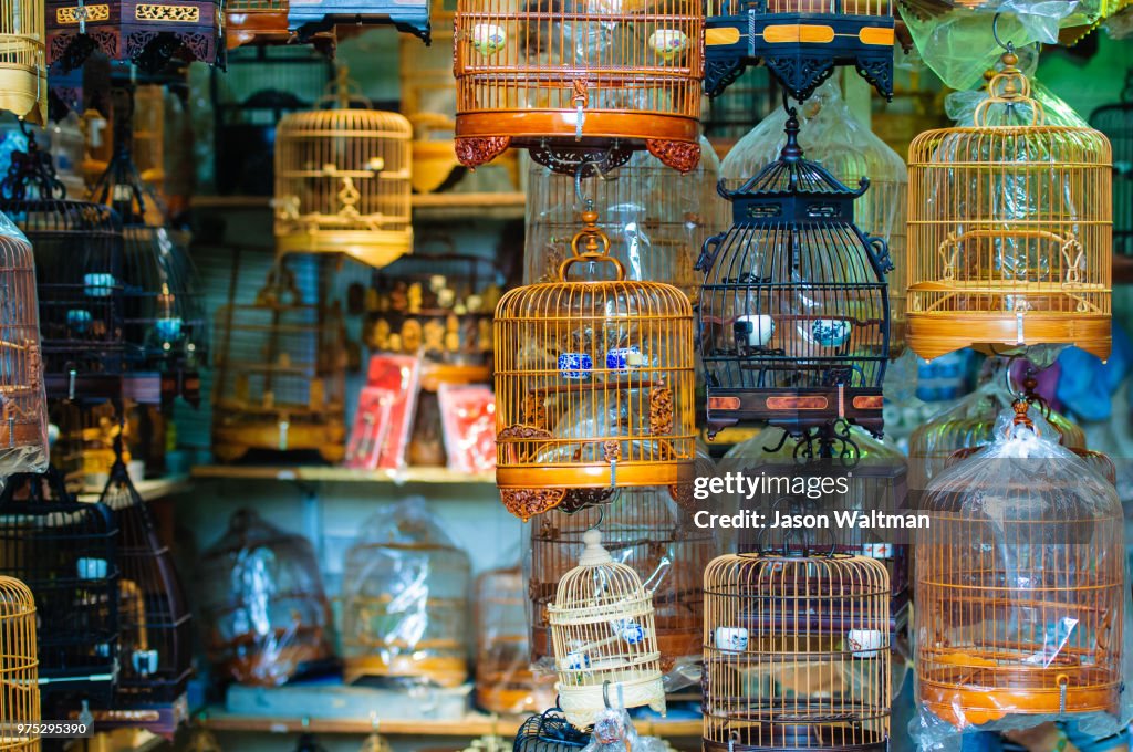 A store full of bird cages.