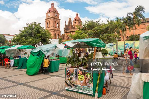 markt in het centrum van santa cruz de la sierra, bolivia - santa cruz de la sierra bolivia stockfoto's en -beelden